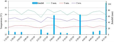 Salicylic acid improves cowpea productivity under water restriction in the field by modulating metabolism